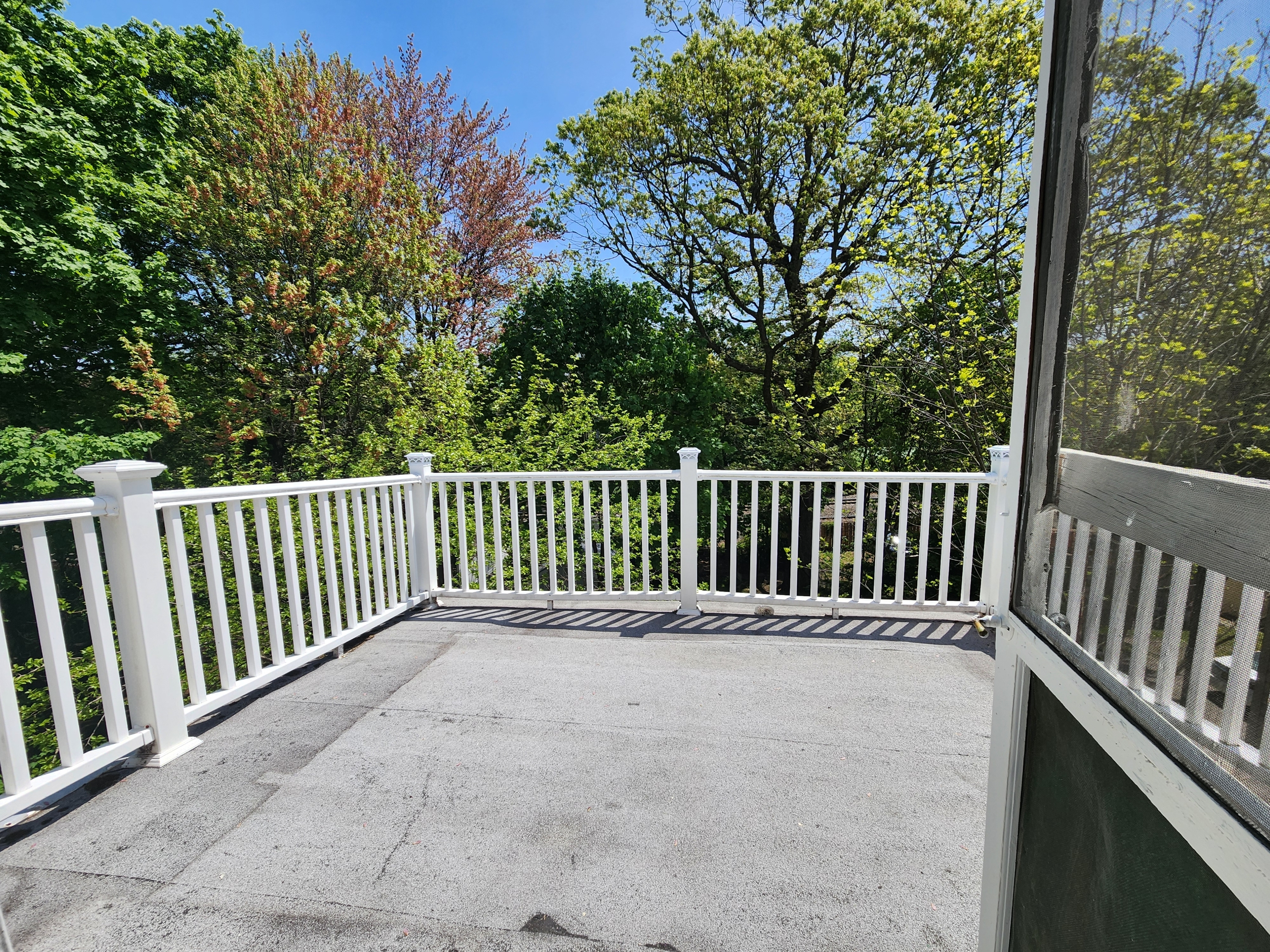 181 Forest St - 3